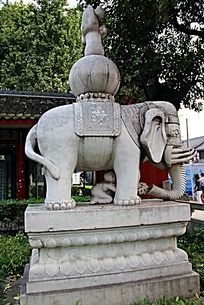泰国图片大象_泰国大象设计素材陕西省神木县建筑设计院图片