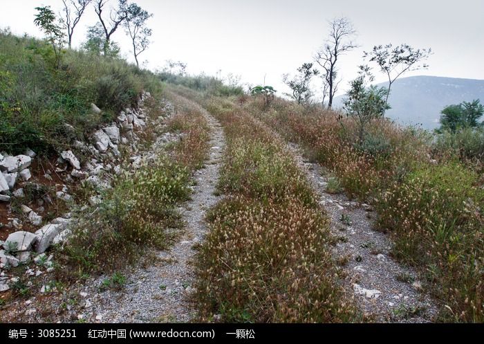 弯弯的山路