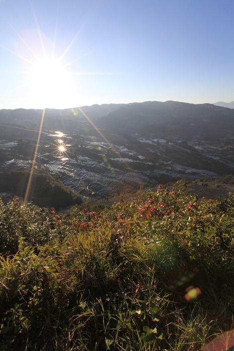 正午阳光下梯田风光