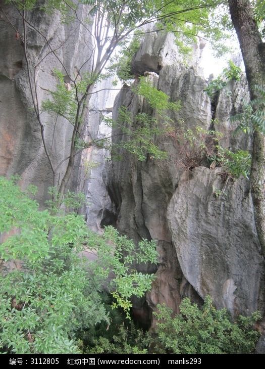 云南石林国家地质公园树木丛生的石山