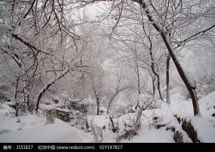 雪中山林