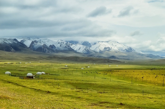 原创摄影图 自然风景 草原风光 雪山下的草原