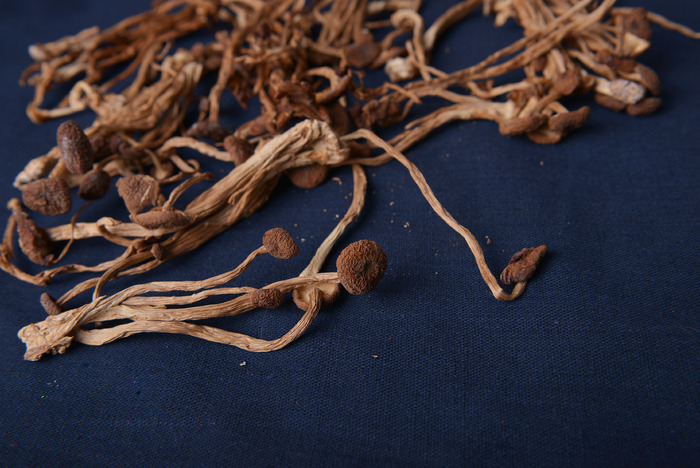 铺在麻布上的茶树菇