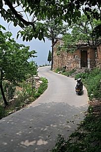 森林里一条小路图片