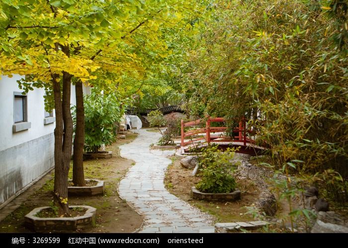 庭院里的小路小桥和景致