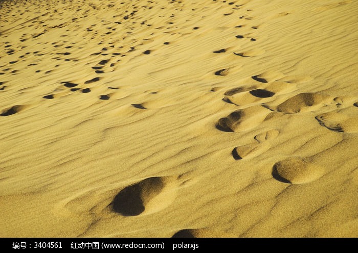 黄沙上的足迹