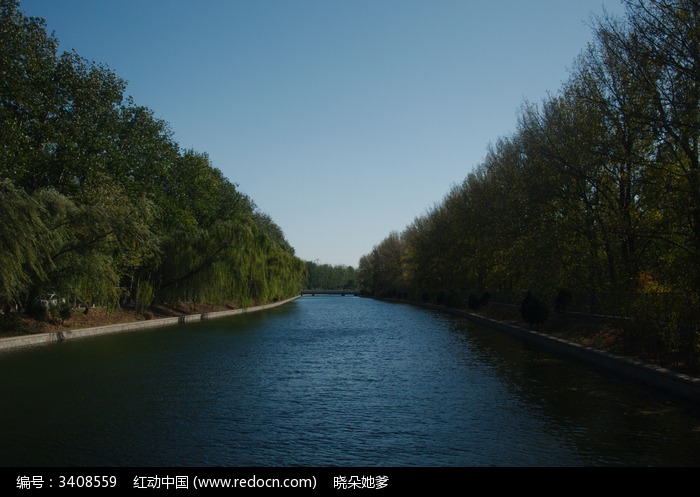 河边树