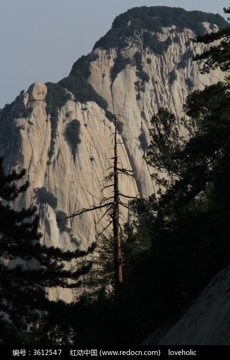 华山伟岸