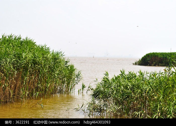 原创摄影图 自然风景 海洋沙滩 上海崇明岛西沙湿地入海口  请您分享