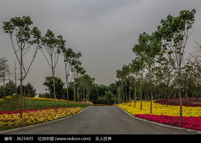 园林景观道路两侧鲜花