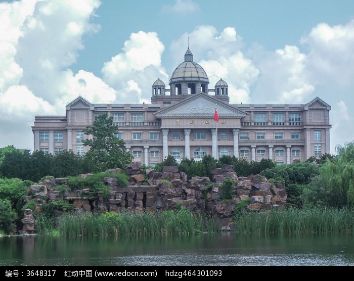 松江税务局大楼和假山图片