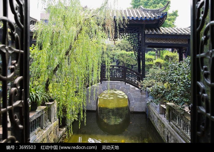 小河杨柳桥