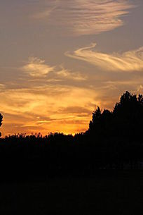 天空 黄昏下的夕阳图片实拍效果