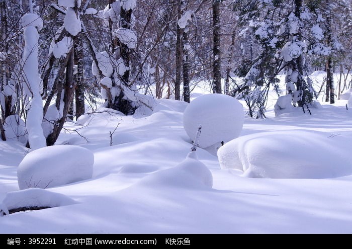 林间的雪球