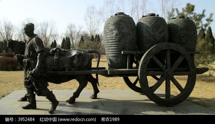 运输汾酒的牛车