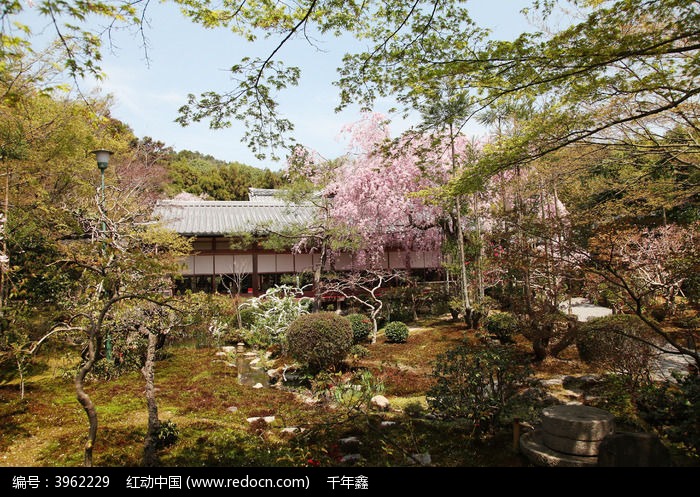 日式风格院落绿化