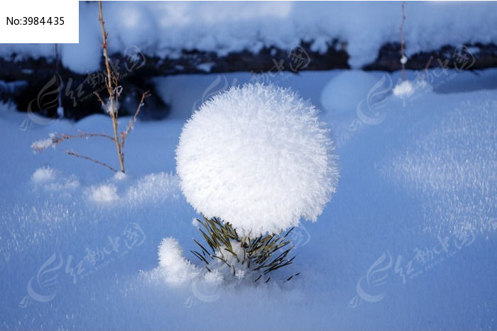 雪球
