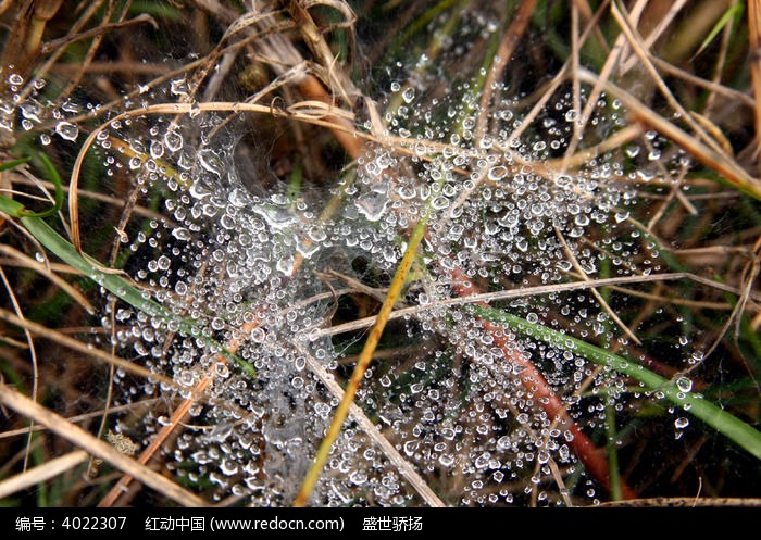 水珠雾水