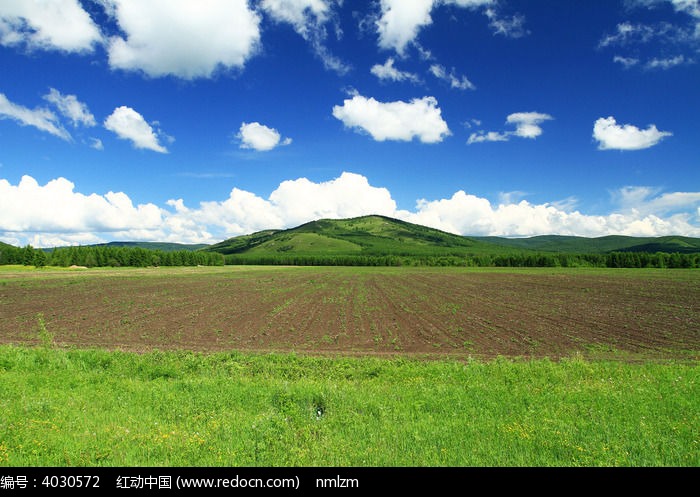 田野黑土地