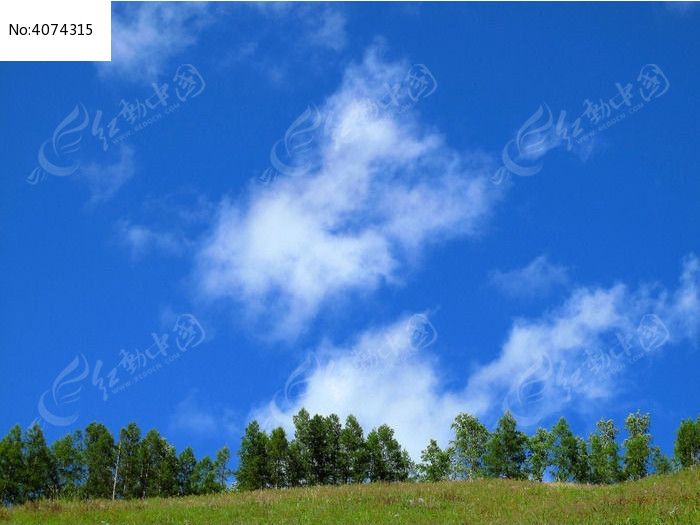 原野树林湛蓝的天空