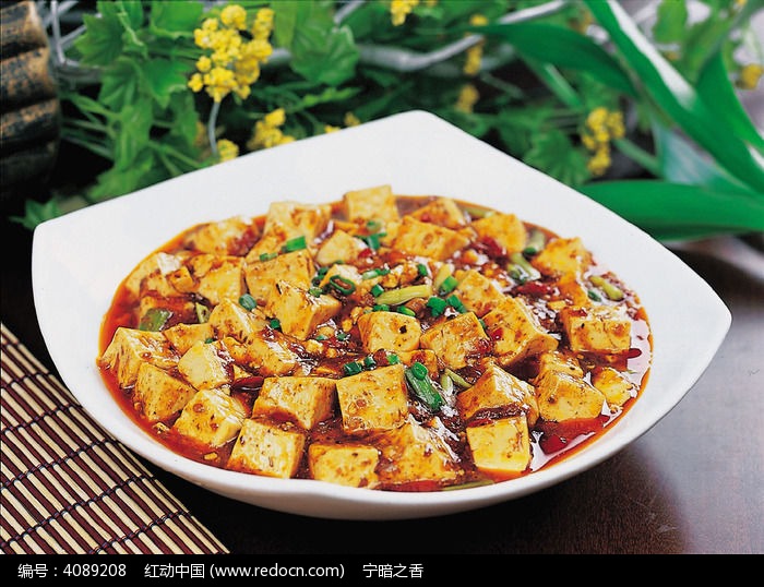 麻婆豆腐