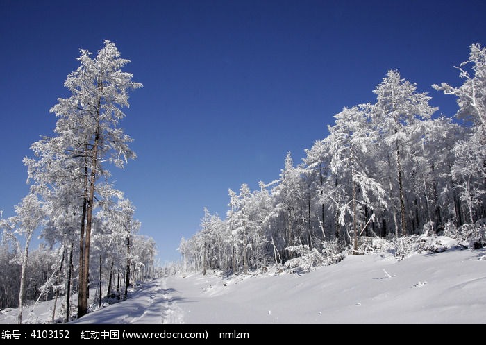 林海雪原