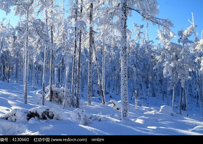 林海雪原之美