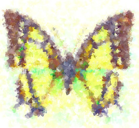 欧美抽象油画蝴蝶