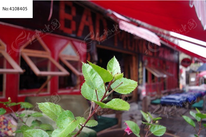 坏猴子酒吧图片