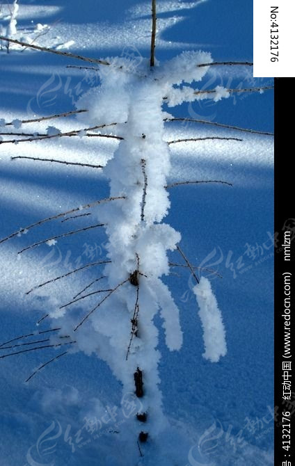 雪原冰雪