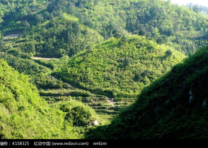 贵州镇远山林风光