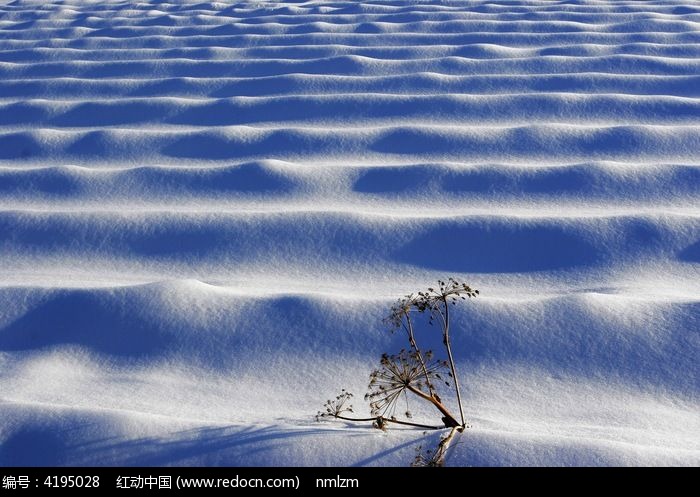 雪原节奏感
