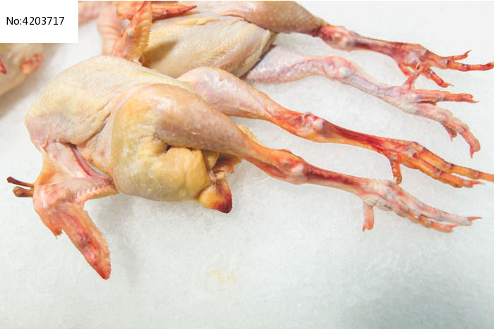 白条鸡图片,高清大图_中国菜系素材