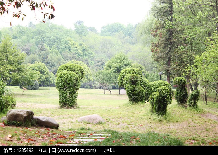 植物造型