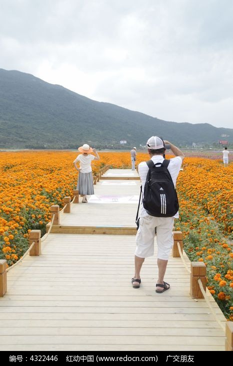 游人在海南三亚花海拍照图