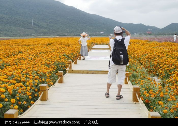 游人在海南三亚花海拍照图片