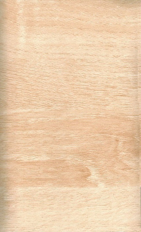 象牙白自然实木板木形纹络木纹树木材质贴图高清质感木板