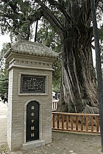 柳侯祠柑香亭景观图片,高清大图_名胜古迹素材