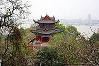 柳侯祠柑香亭景观图片,高清大图_名胜古迹素材