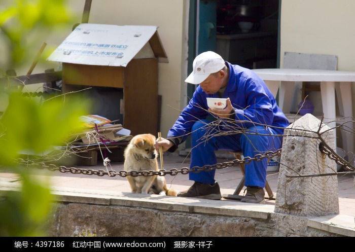 老人与狗