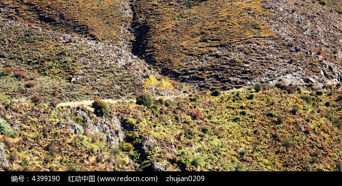 崎岖的山路