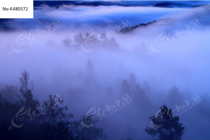 大兴安岭森林蓝雾图片,高清大图_森林树林素材