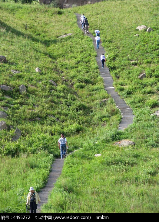 阿尔山上山的阶梯高清图片下载_红动中国