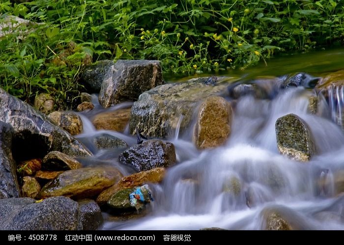 山林中的河道小溪