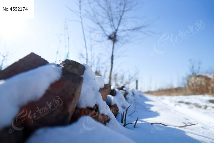 大雪后的雪地小景