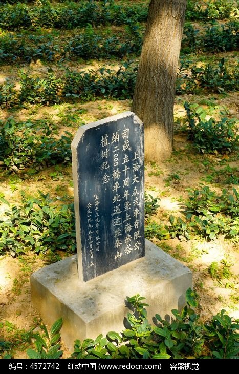 泰山茶园内的纪念石碑