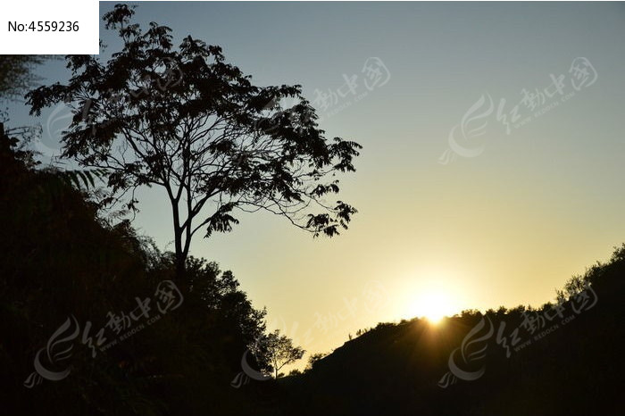 天空夕阳下山岭的树木