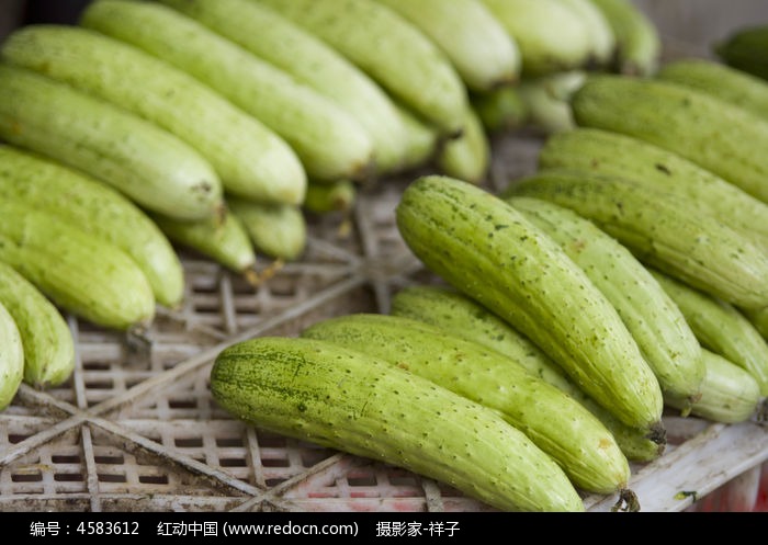 黄瓜