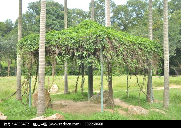 绿色植物亭子