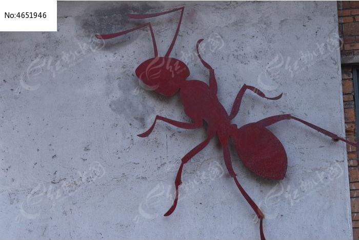 一只红色蚂蚁